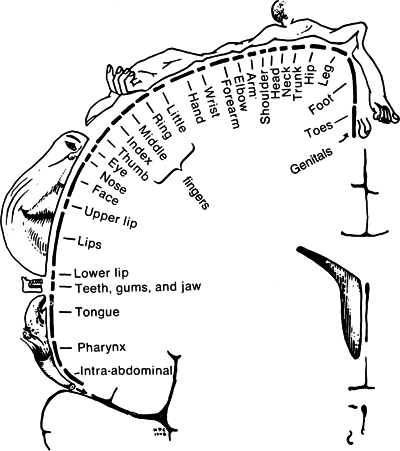 Description: Fig. 1