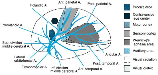 Description: Supply regions2
